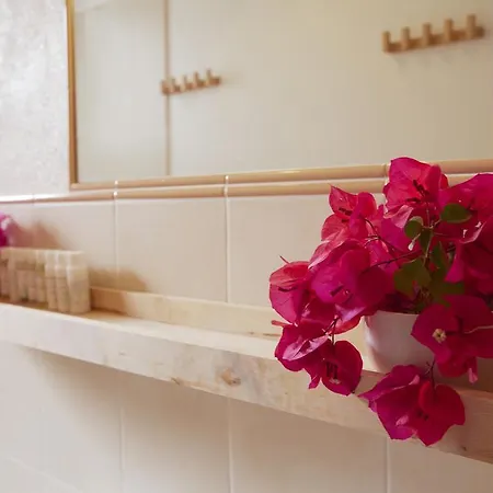 Casa Fiore 公寓 普拉