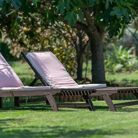 Casa Fiore Daire Pula